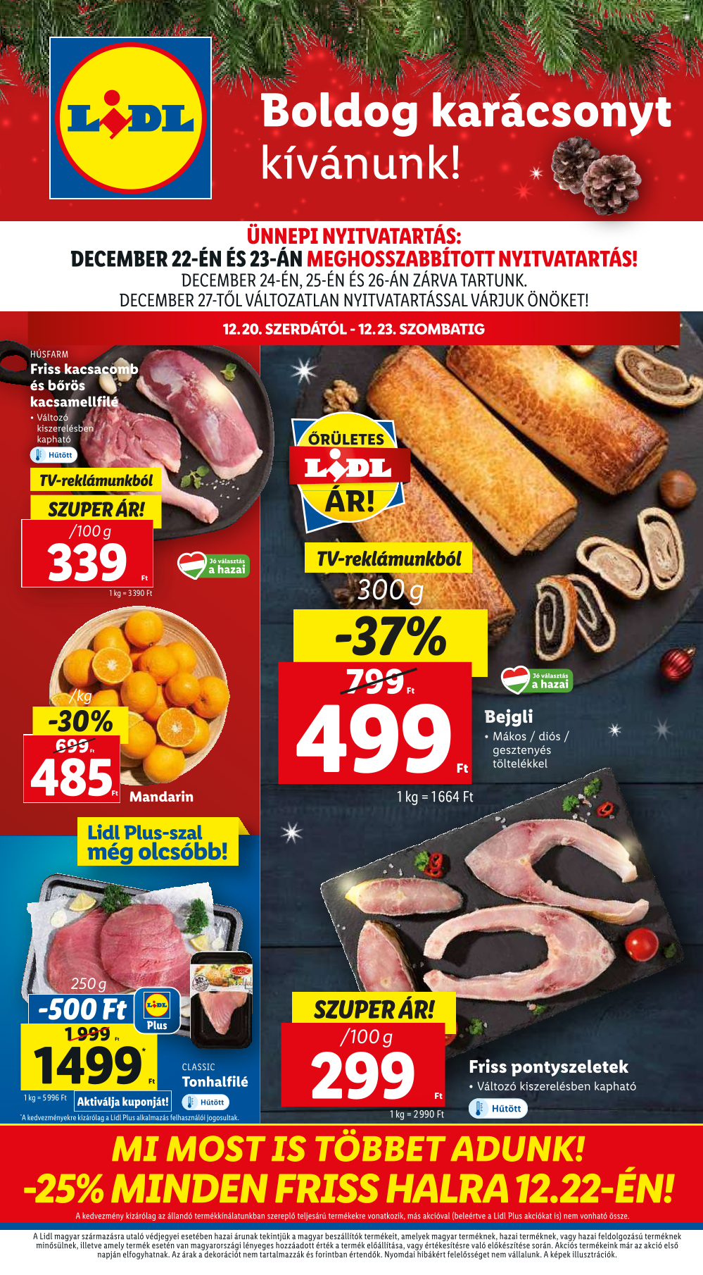 Lidl 51