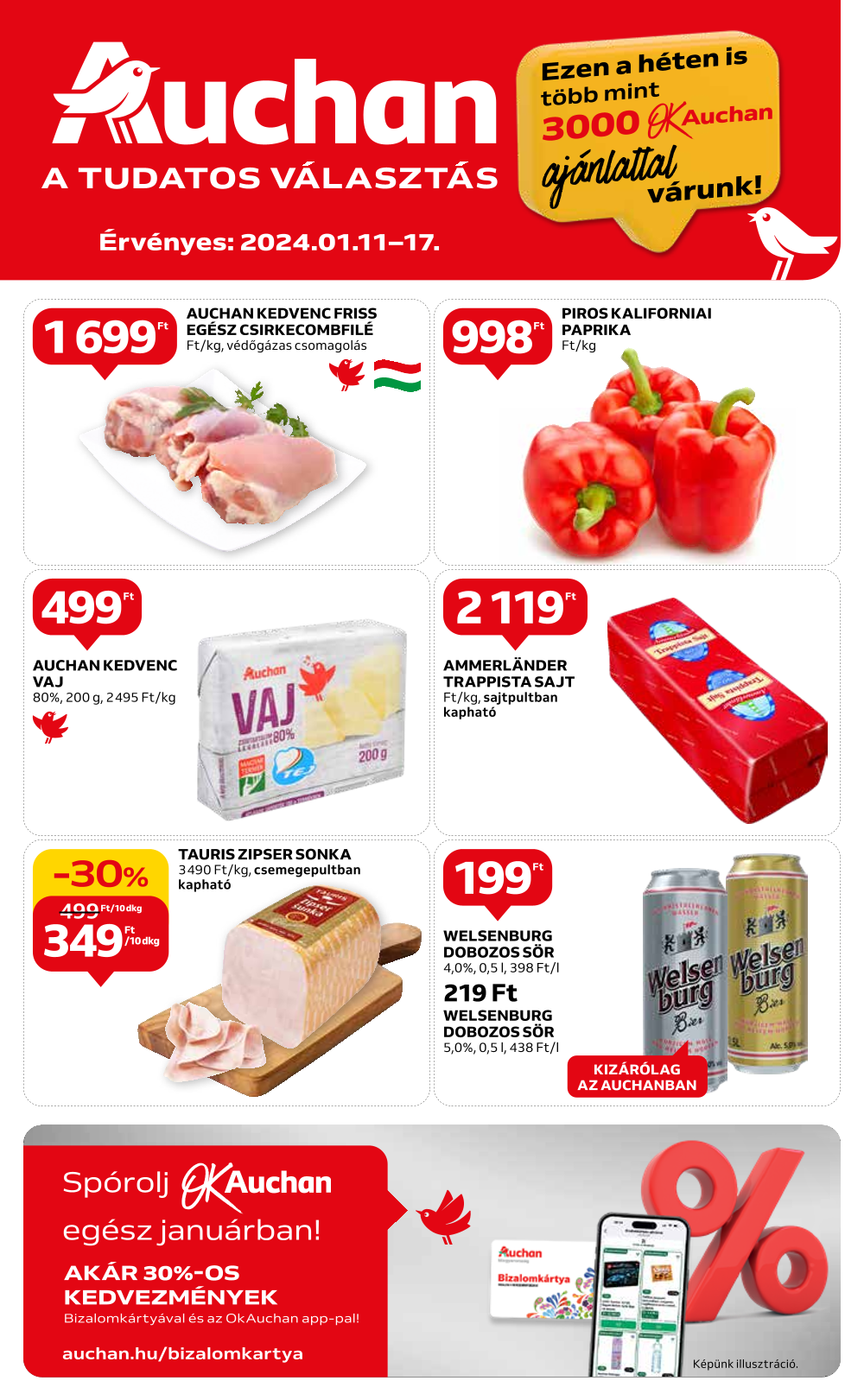 Auchan2
