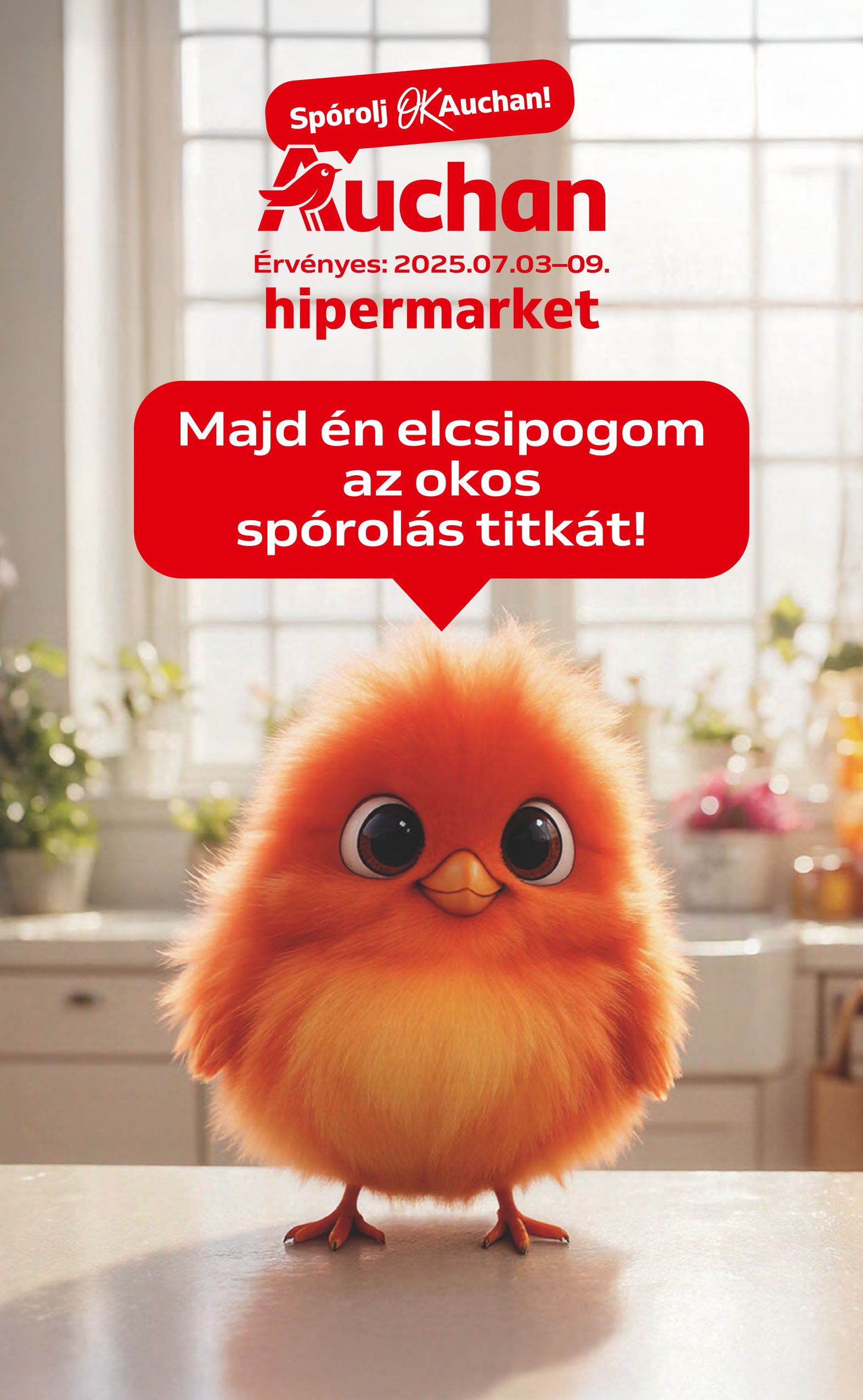 Auchan 27