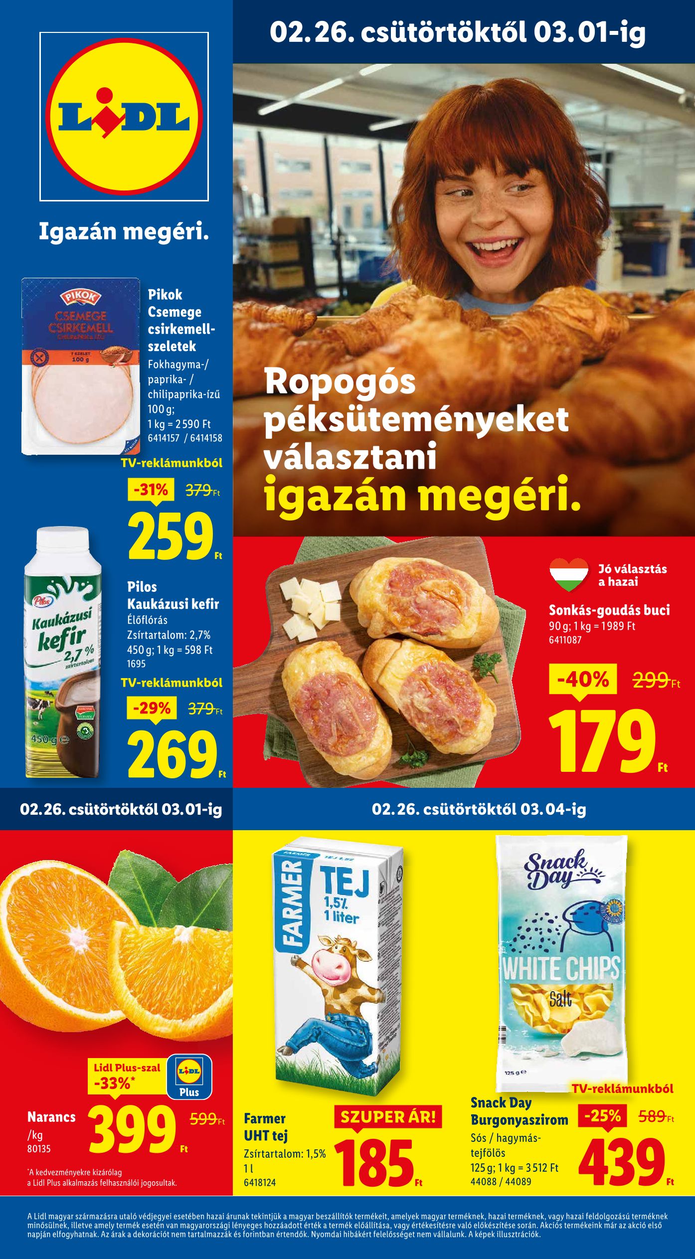 Lidl 2026/9