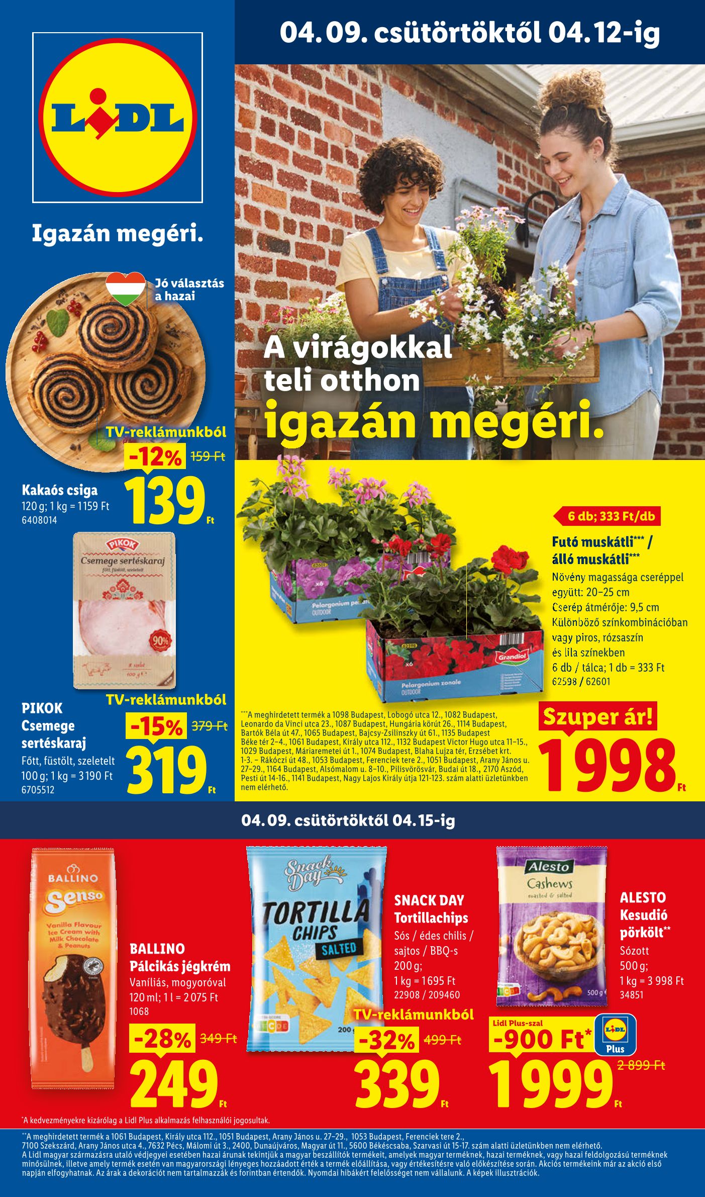 Lidl 2026/15-16-bot