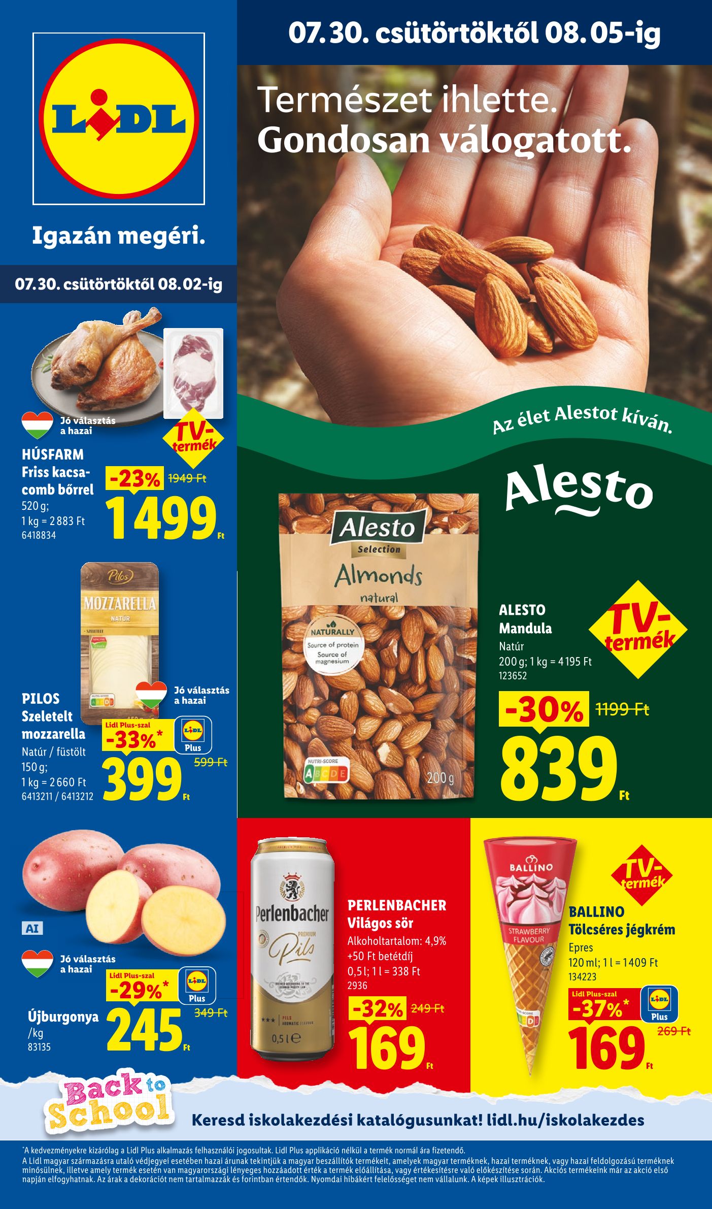 Lidl 2026/31-32