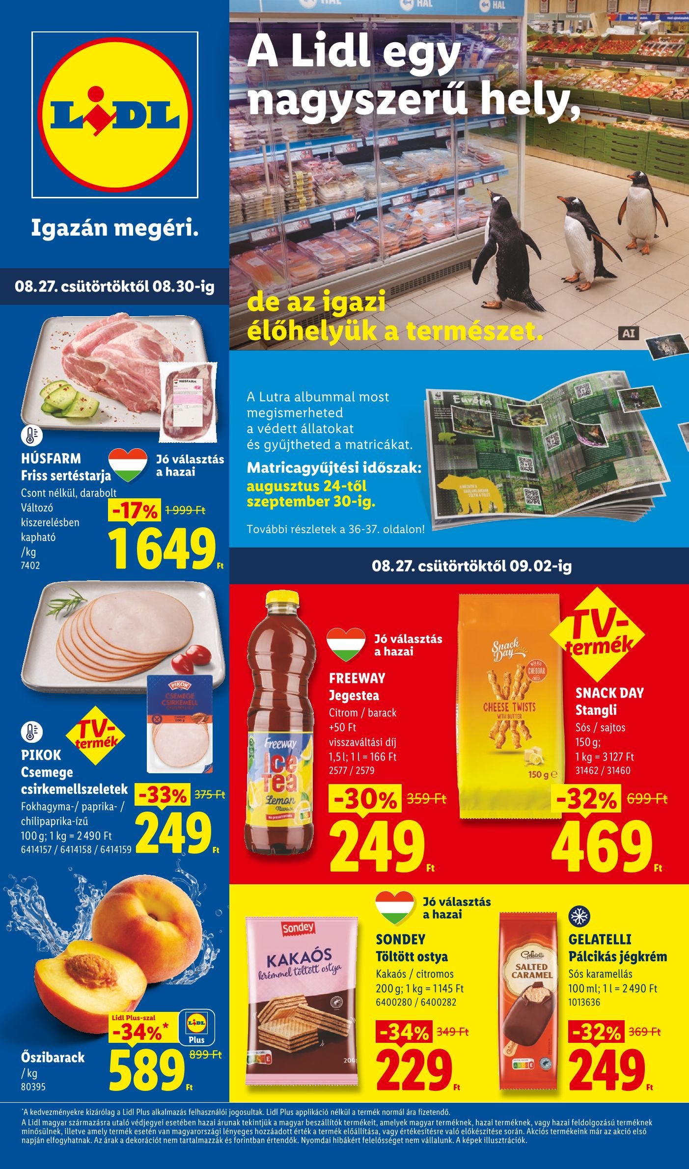 Lidl 2026/35-36