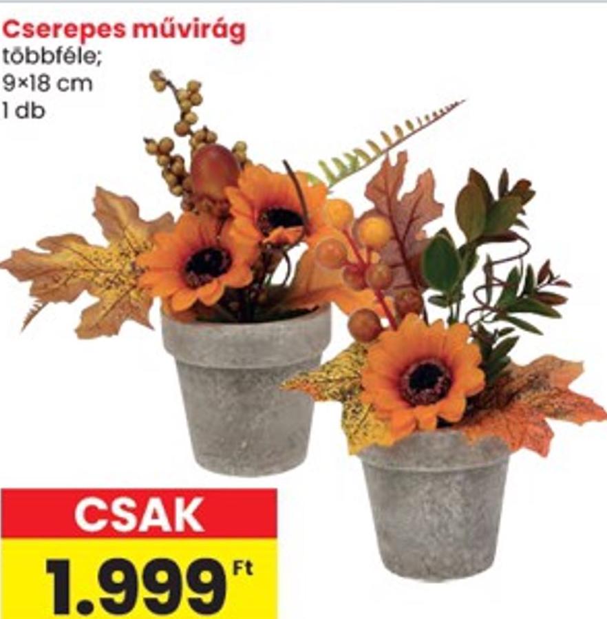Spar