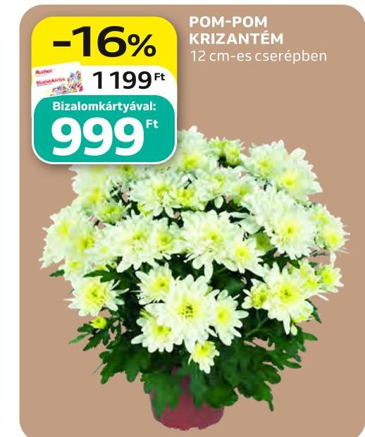 Auchan